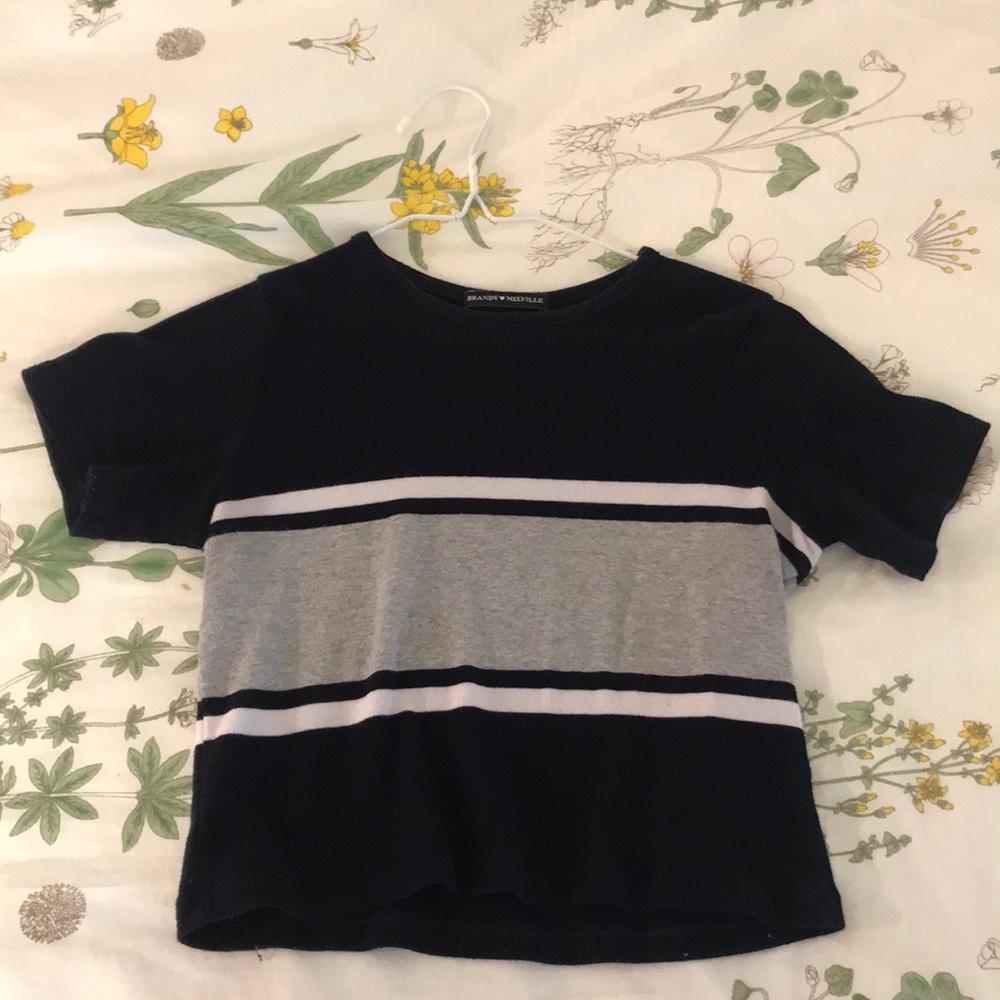 Brandy Melville crop top